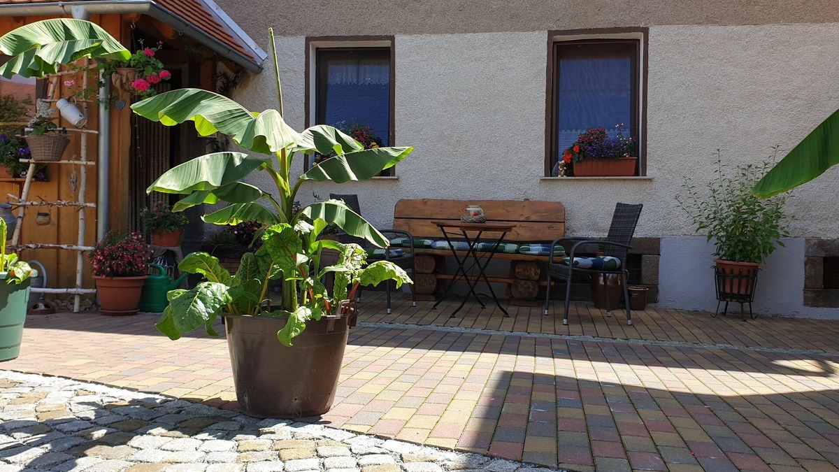 Rosenthal Apartment | Family friend Farm, bike, mountains, motorbike, quad, wifi, cot