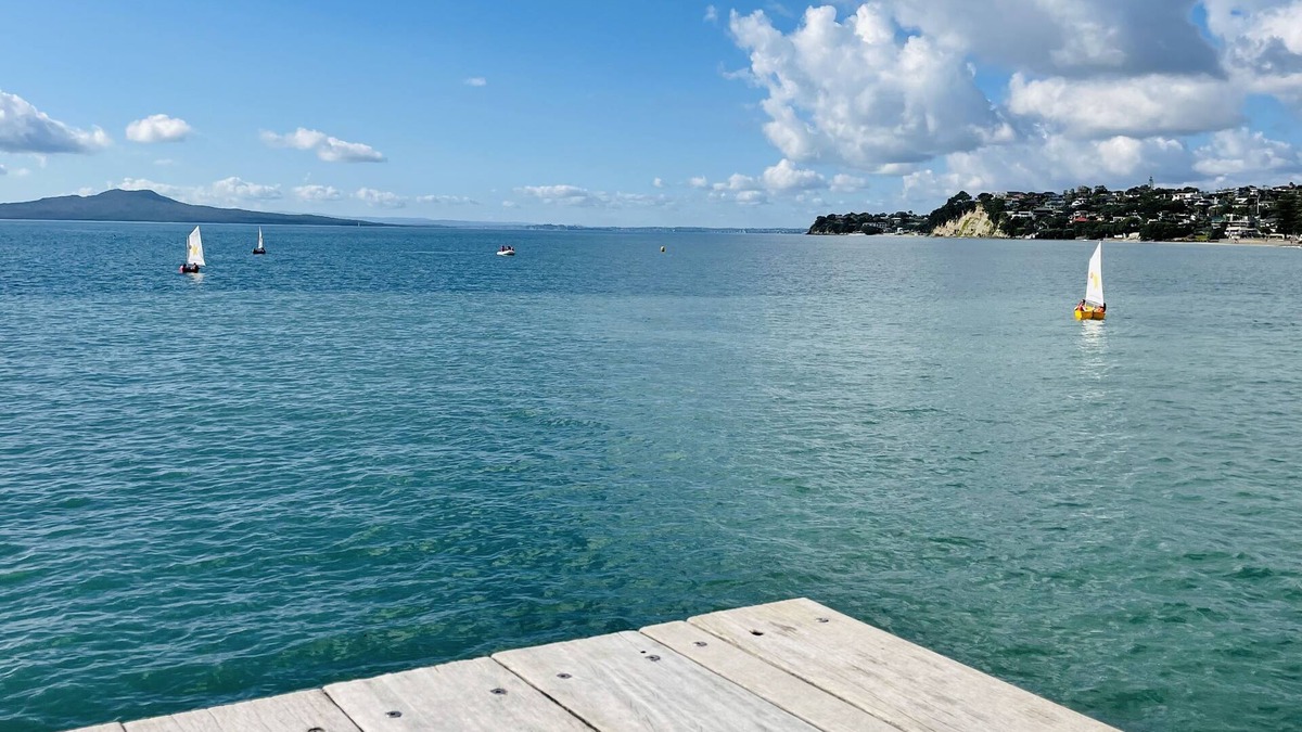 Murrays Bay Apartment | family-friendly 3BR flat by the bays - 3min walk to the beach