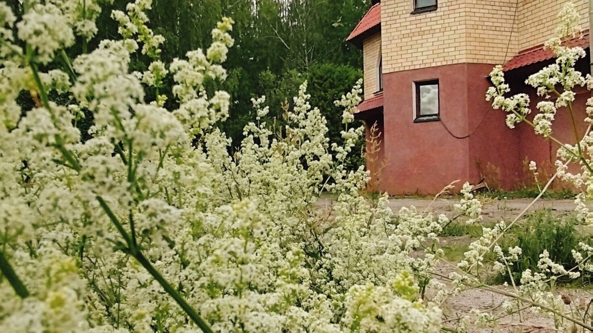 Carnikava House | Family friendly accomodation near the Baltic sea!