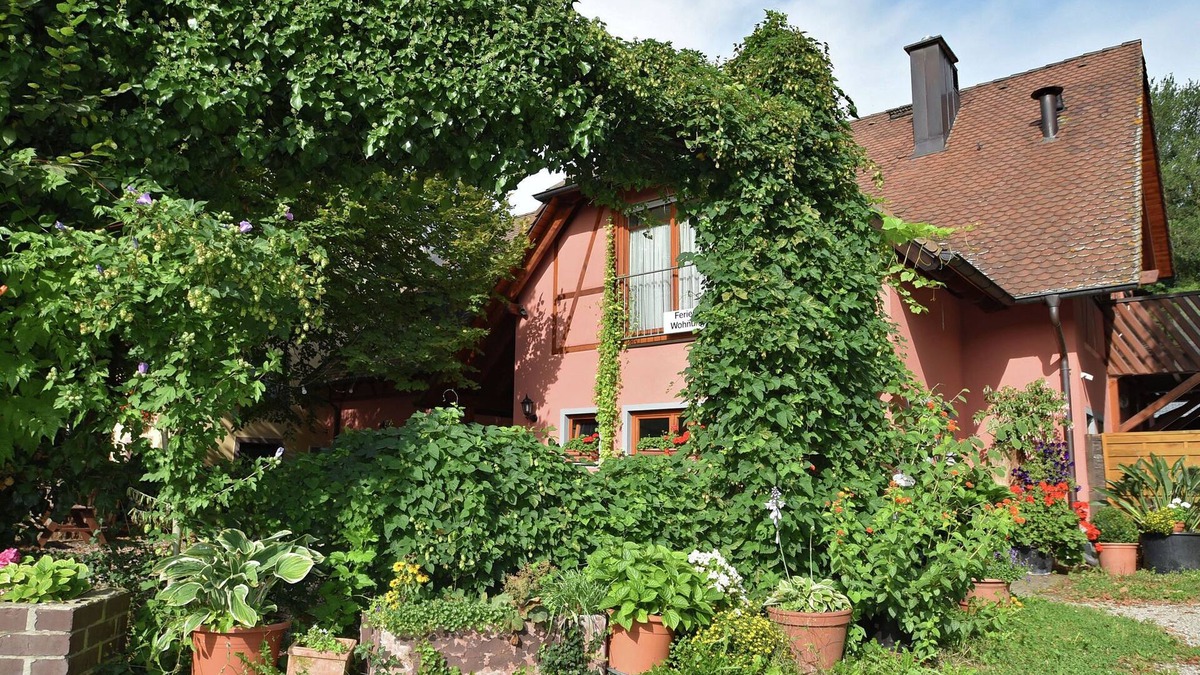 Freiburg im Breisgau Apartment | Family-Friendly Apartment