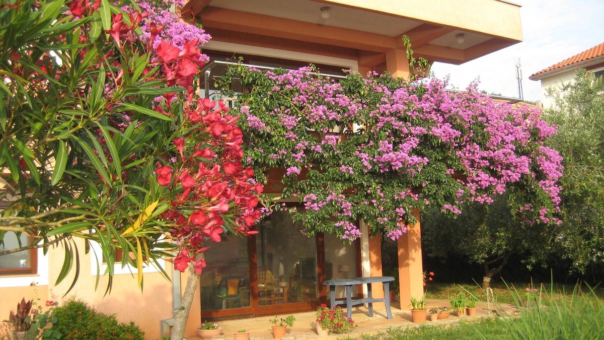 Kali House | Family-friendly apartment in old fishermen village close to Zadar
