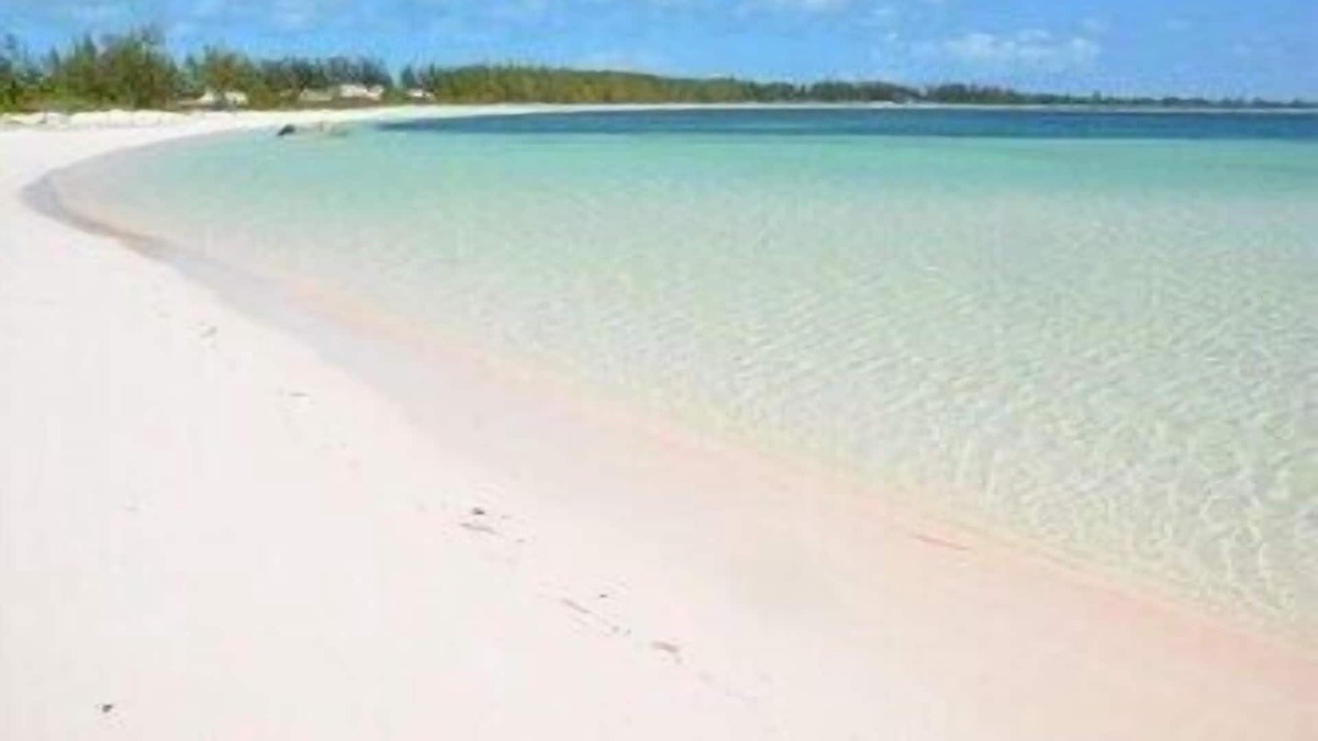 Winding Bay House | Family Friendly Beachfront Pink Sand Beaches Sleeps up to 15