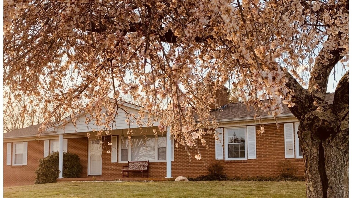 Woodlawn House | Family friendly Farm, Mnt sunsets, private, central to BR Parkway & much more!