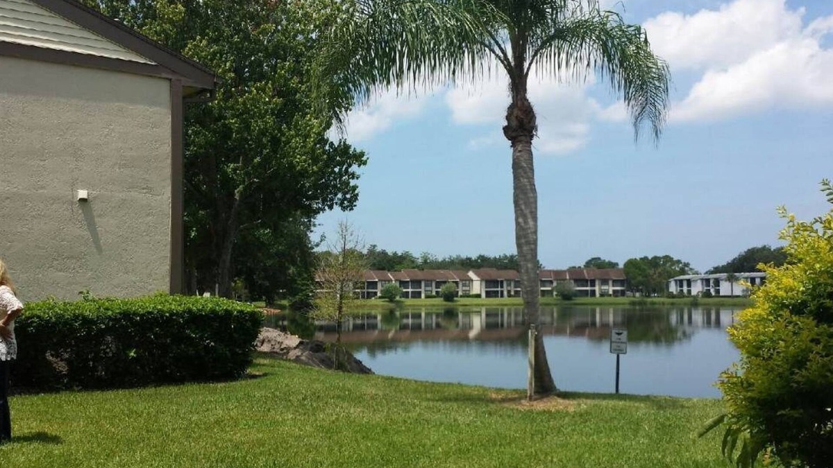 Oldsmar Condo | family friendly, gated community, two pools, lake outside back door.