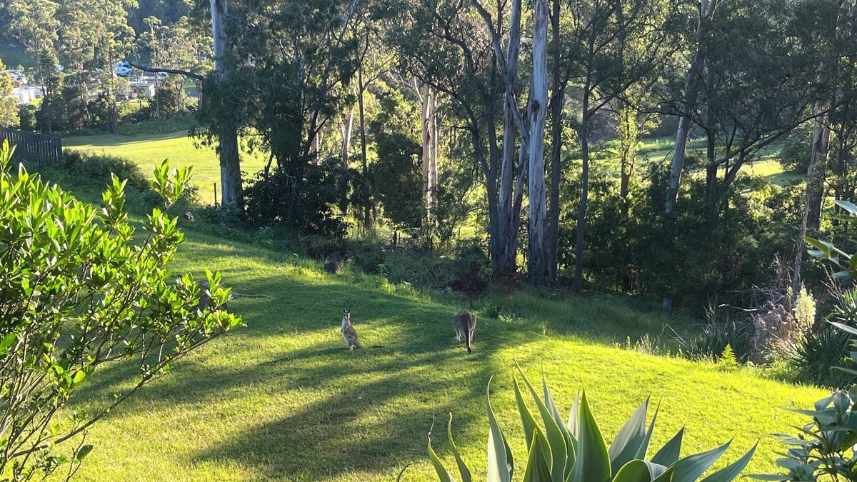Merimbula House | Family friendly haven in the heart of the Sapphire Coast