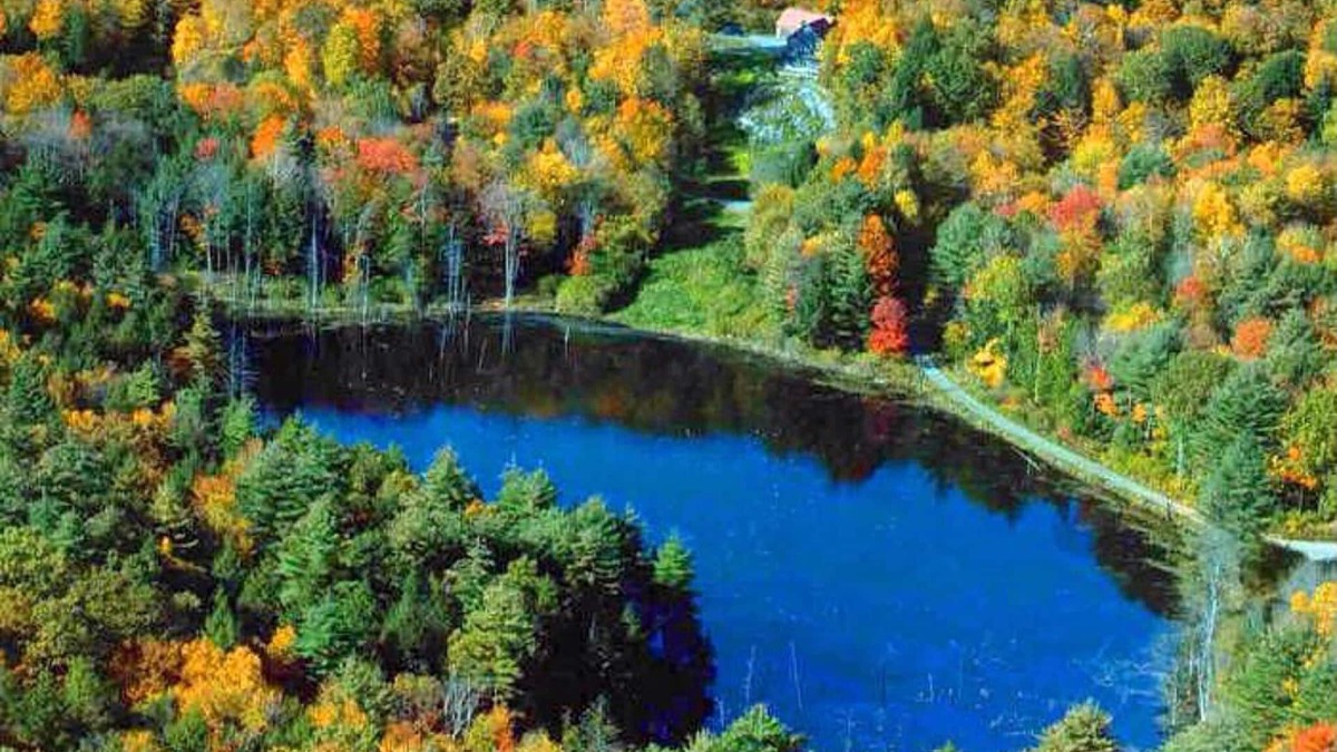 Putney House | Family Friendly Hilltop House In Putney Vermont