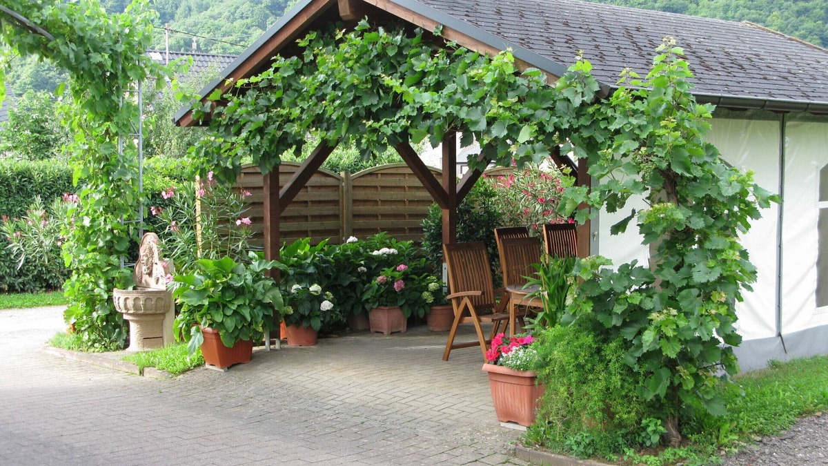 Minheim Apartment | family-friendly, outdoor facility, hiking, wine yards, biking