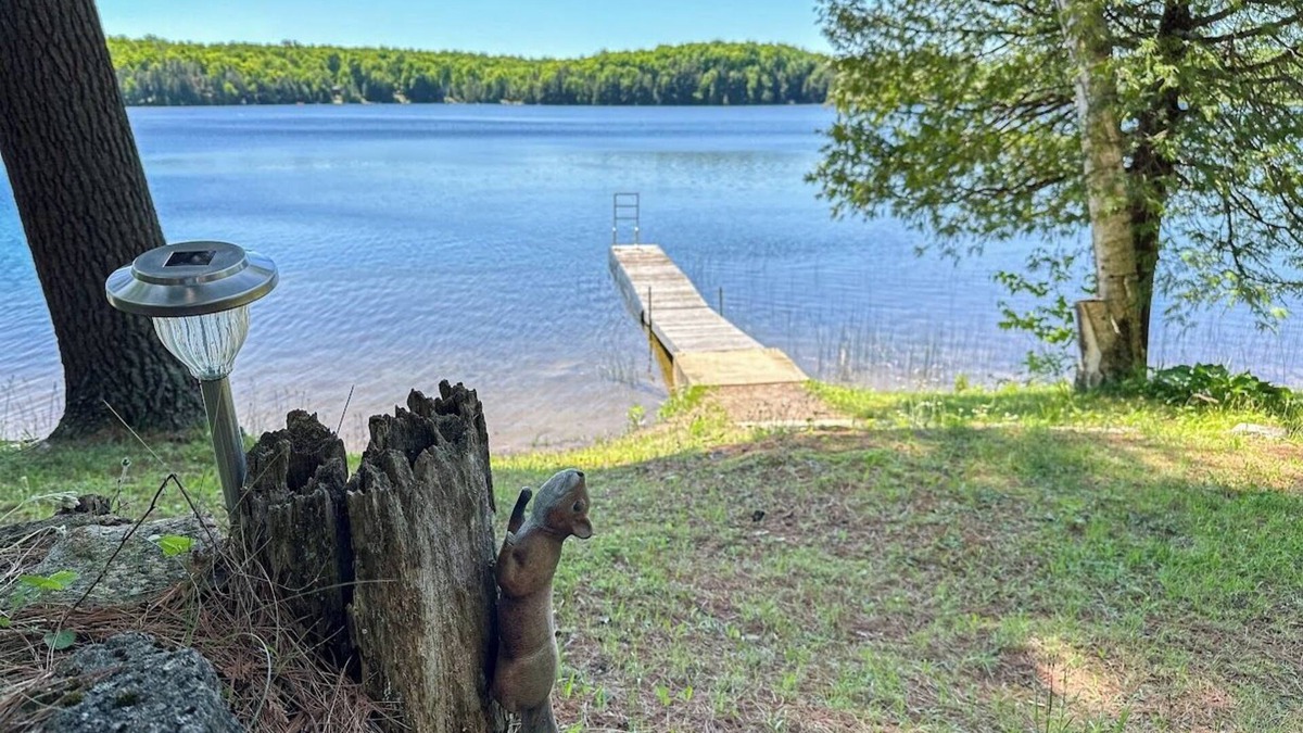 Minden Hills Cottage | Family friendly retro cottage with huge waterfront