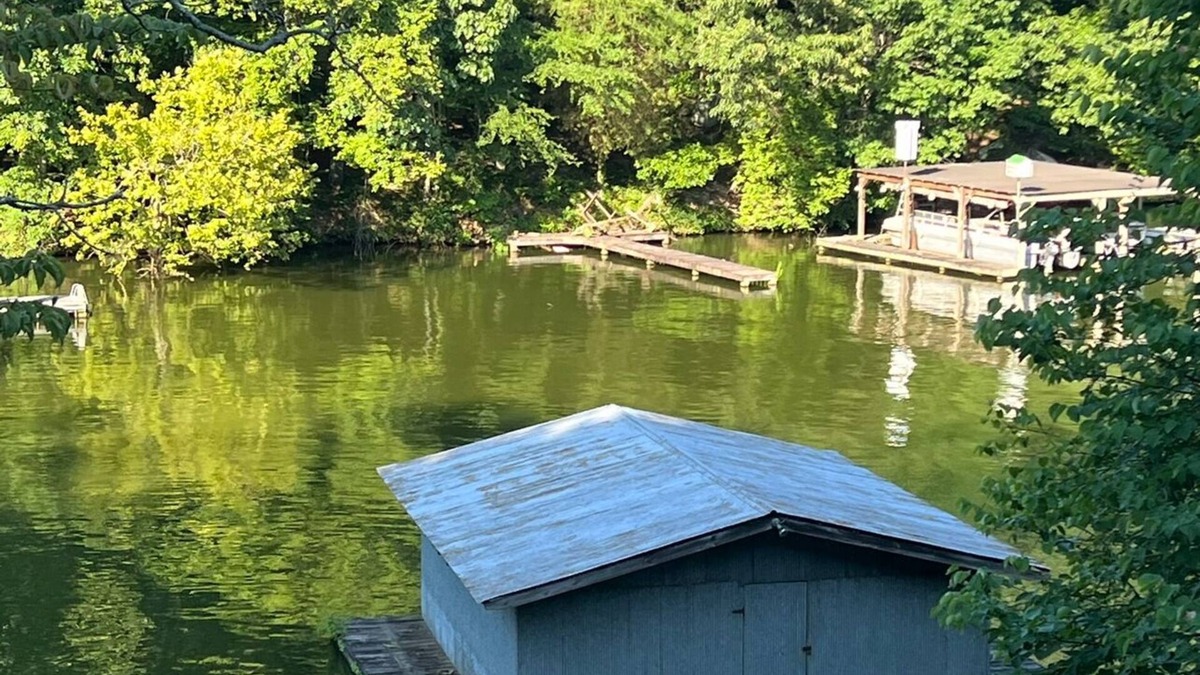 Rogersville Cabin | Family Friendly River Cabin! Bring the boat!