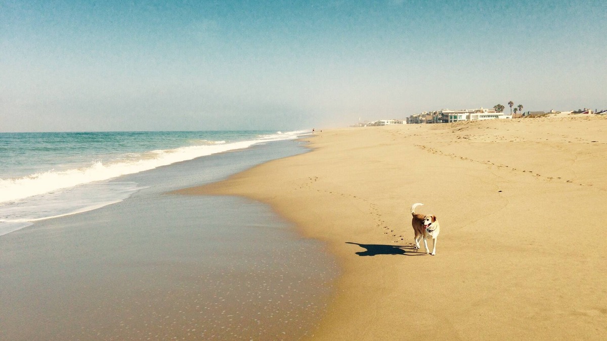 Oxnard Shores House | Family Fun Beach House 30 day minimum rental