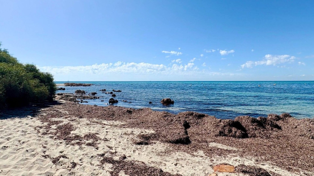 Broadwater House | Family Getaway - Cabin 50: Your Ideal Retreat for Comfort and Nature