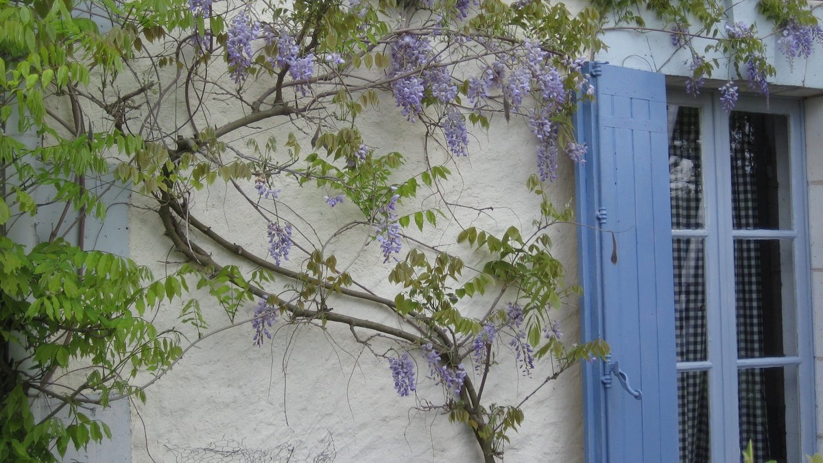 Courlac House | Family Gite in the beautiful Charente Countryside with Pool & BBQ