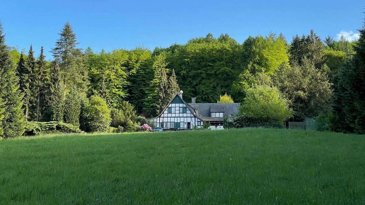 Preussisch Oldendorf Villa | Family group holiday home in a secluded location with its own forest and lake with jetty