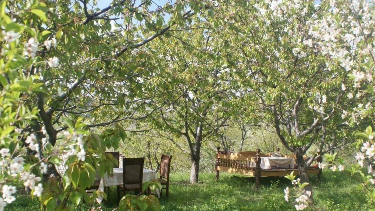 Urgut Bed & Breakfast | Family guest house The spring Бахор