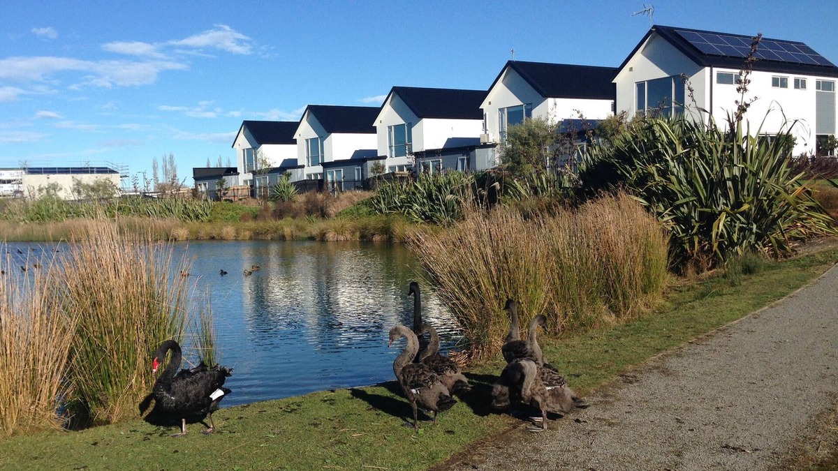 Christchurch House | Family home in Prestons