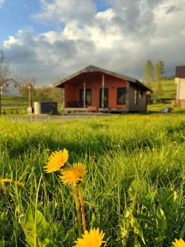 Plavya House | Family House Volosianka