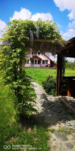 Cartisoara House | Family Mountain Cottage