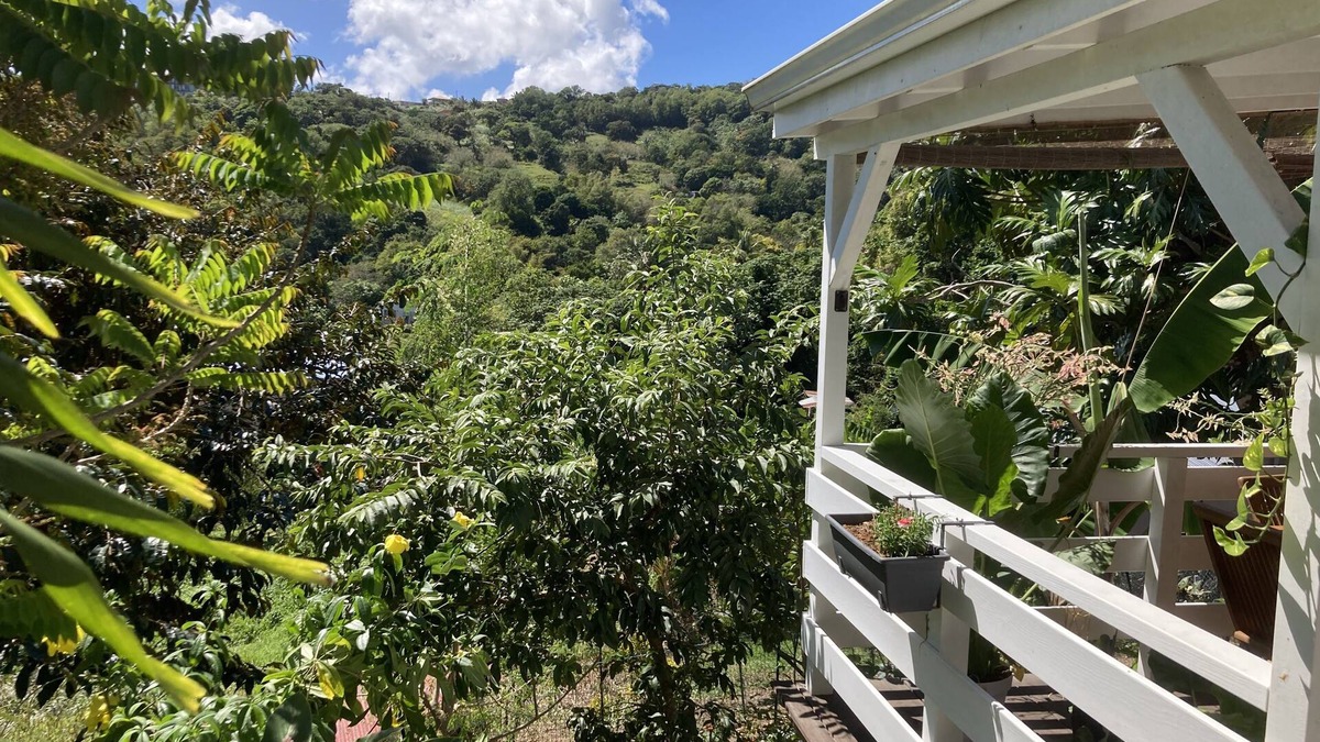 Le Vauclin Apartment | Family or couple rental in a magnificent studio with countryside view.