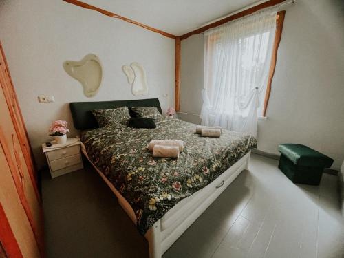 Talsi Apartment | Family or Group Apartment in Talsi Center