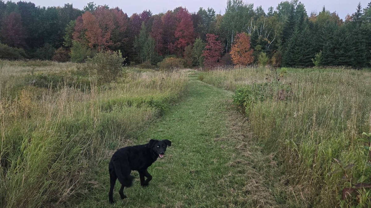 Aroostook Other | Family/pet-friendly home on working farm. Country setting, yet close to town!