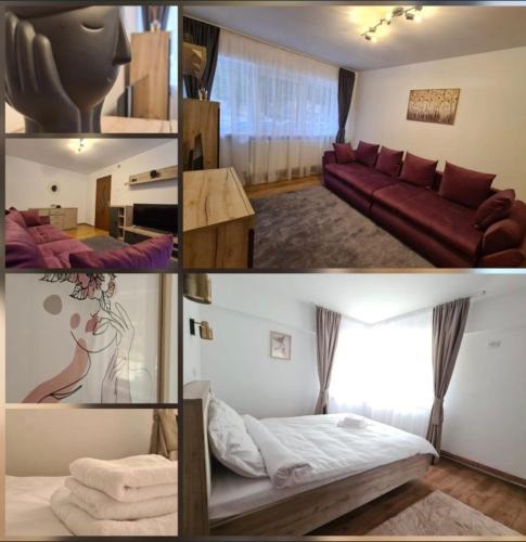 Slanic-Moldova Apartment | Family Residence Slănic-Moldova