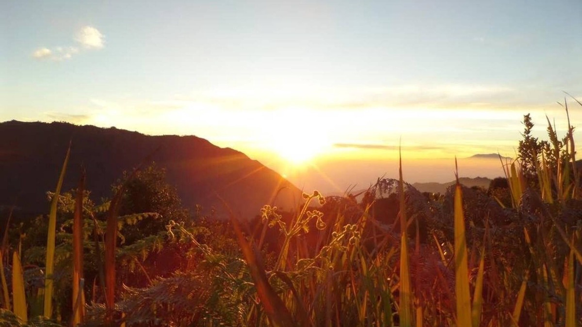 Ngadisari Bed & Breakfast | Family room 4 pax located at Bromo National Park