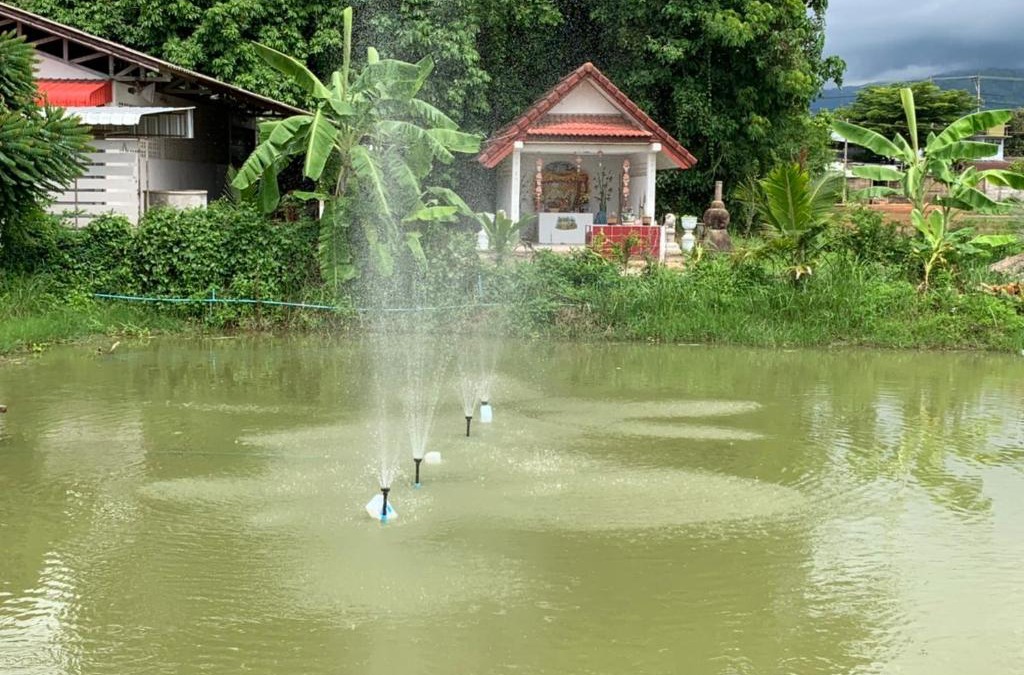 Nang Lae House | Family Vacation Chiangrai