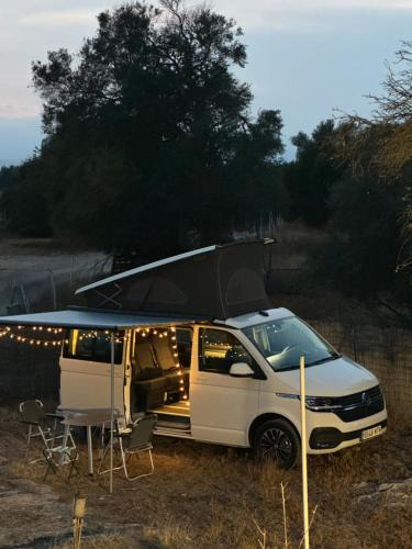 Palma de Mallorca Boat Rental | Fantástica Autocaravana California 2024