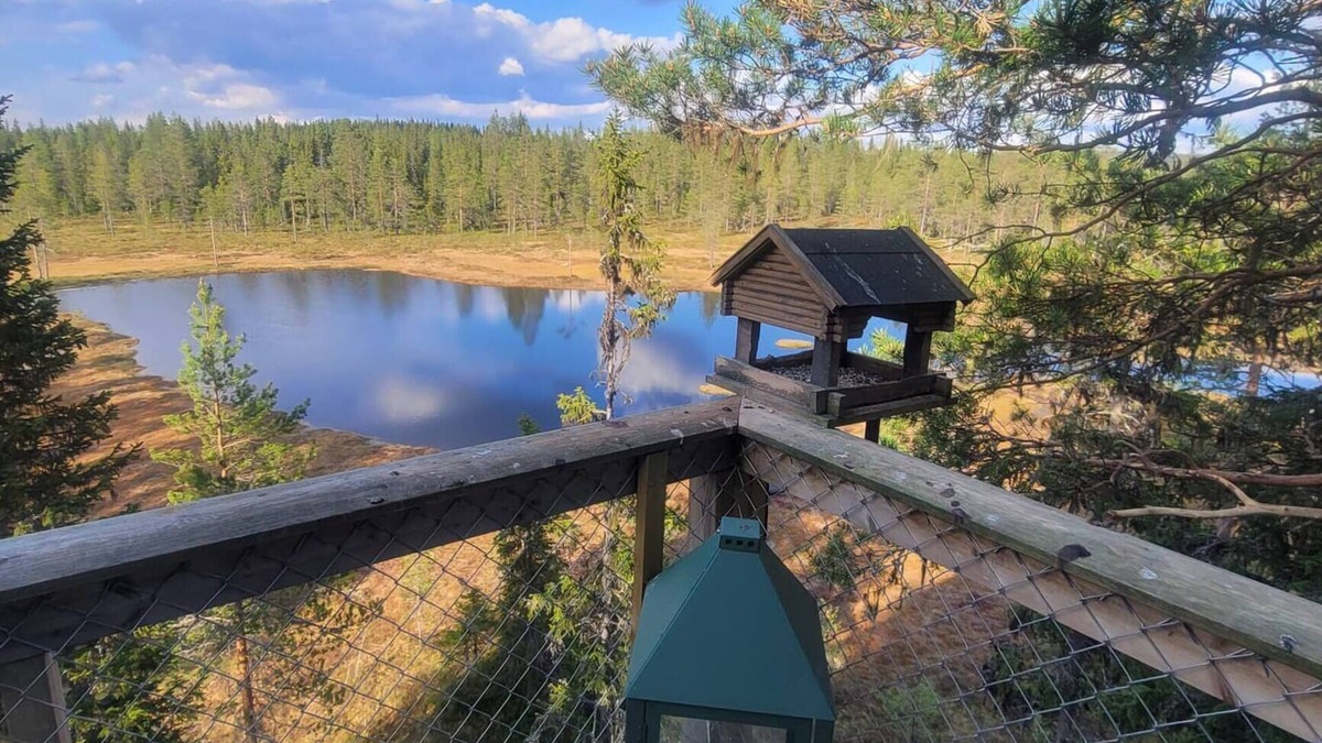 Trysil House | Fantastic Experiences, Wooden Cabin – A Serene Escape in Trysil Forest