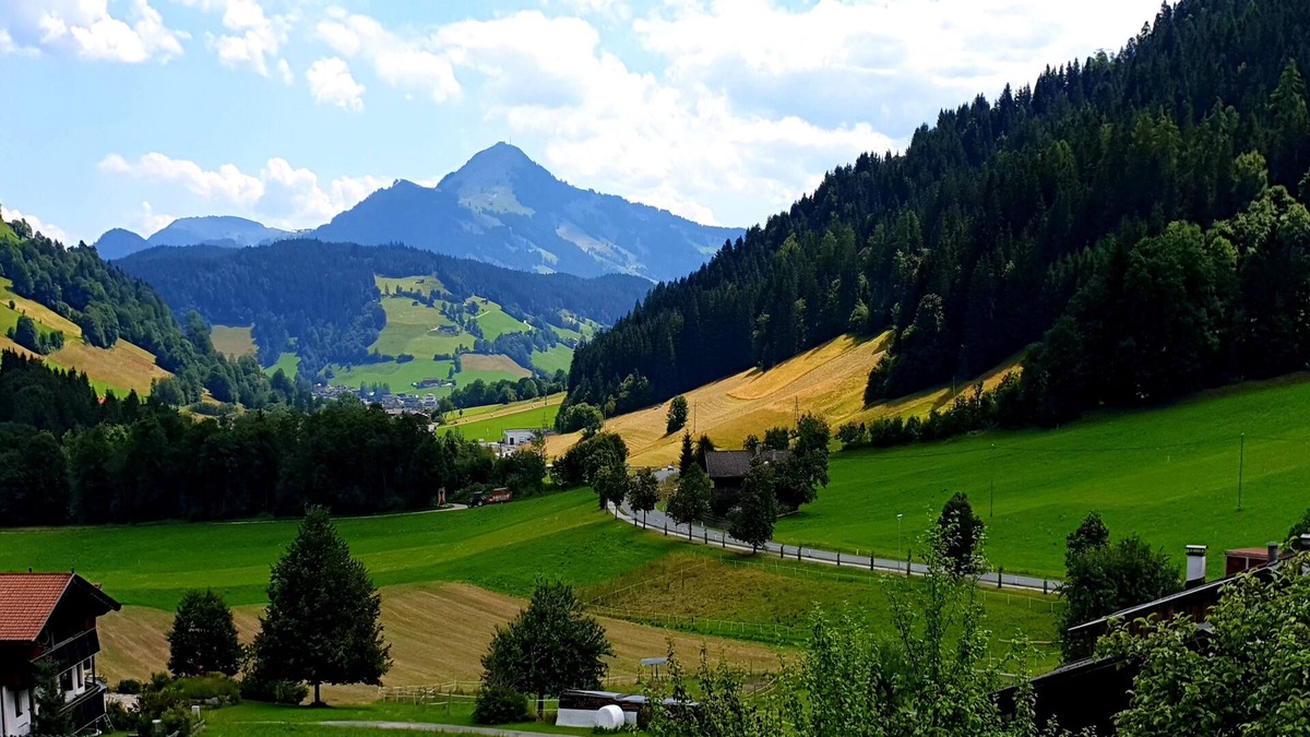 Oberau House | Fantastic group accommodation near the ski lift