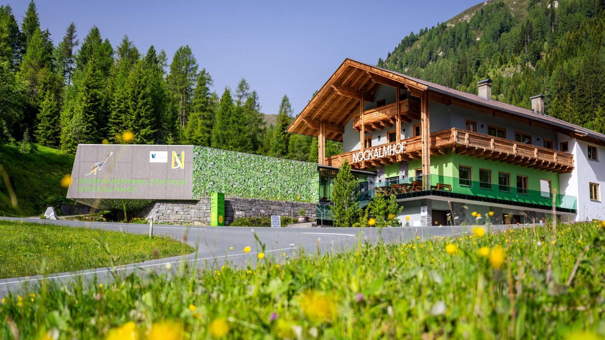 Krems in Kaernten Apartment | Fantastic holiday apartment in a secluded location