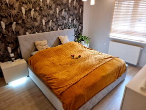 Walbrzych Apartment | Fany