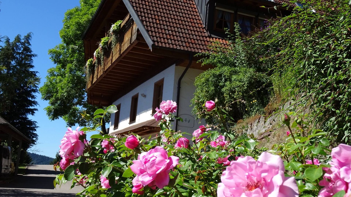Schiltach Apartment | Farm animals in the Black Forest, 4 star wellness Non smoking apartment