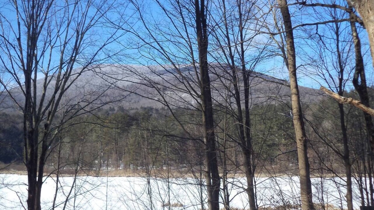 Arlington House | Farm Barn Adjacent Wildlife Preserve w/Fantastic Views