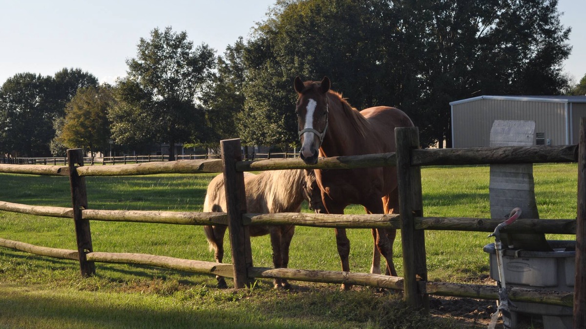 Scott House | Farm Charm Enjoy the Great Scenery