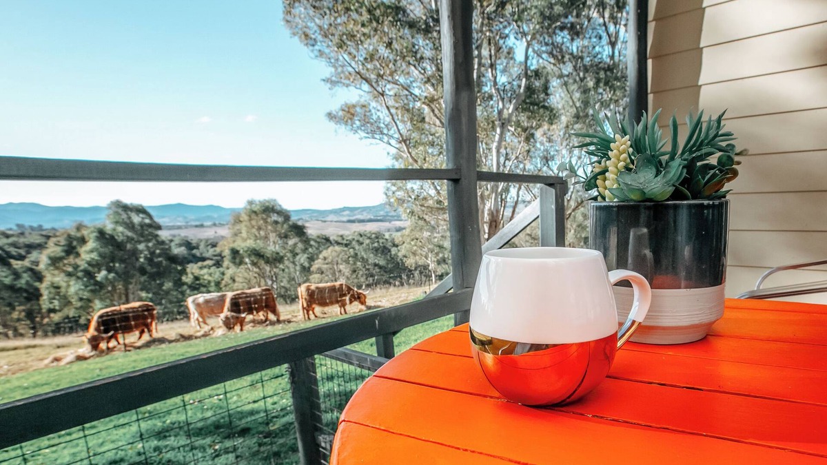 Candelo Apartment | Farm Escape for the whole family at Bumblebrook Farm Motel Unit 2. Pet Friendly