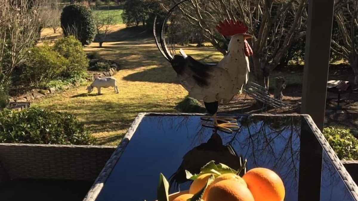 Kangaroo Valley House | Farm Escape - Spacious Cottage in Kangaroo Valley