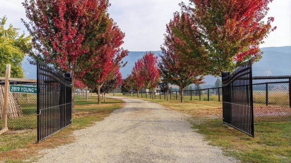 Armstrong House | Farm estate, trampoline, goat yoga and feed the farm animals!