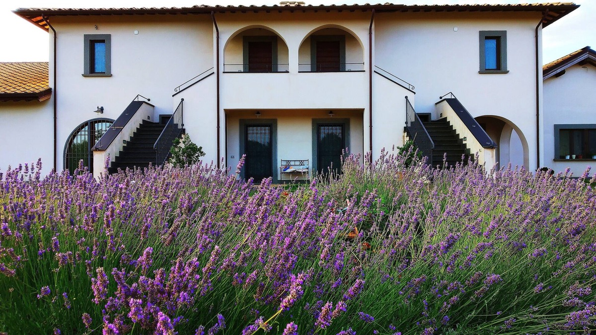 Grotte di Castro Condo | FARM HOLIDAYS FOR GROUPS EVENTS New Year's Eve festivities
