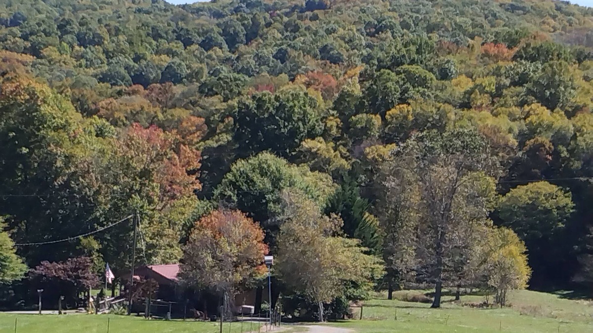 Wilson Creek Other | Farm house, near Mt. Rogers, State Parks, Hiking, fishing, horse riding, tubing.