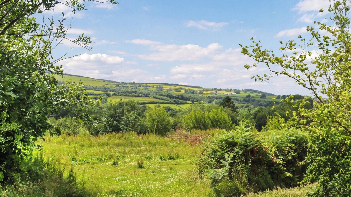 Llanybydder Cottage | Farm House - UK50262