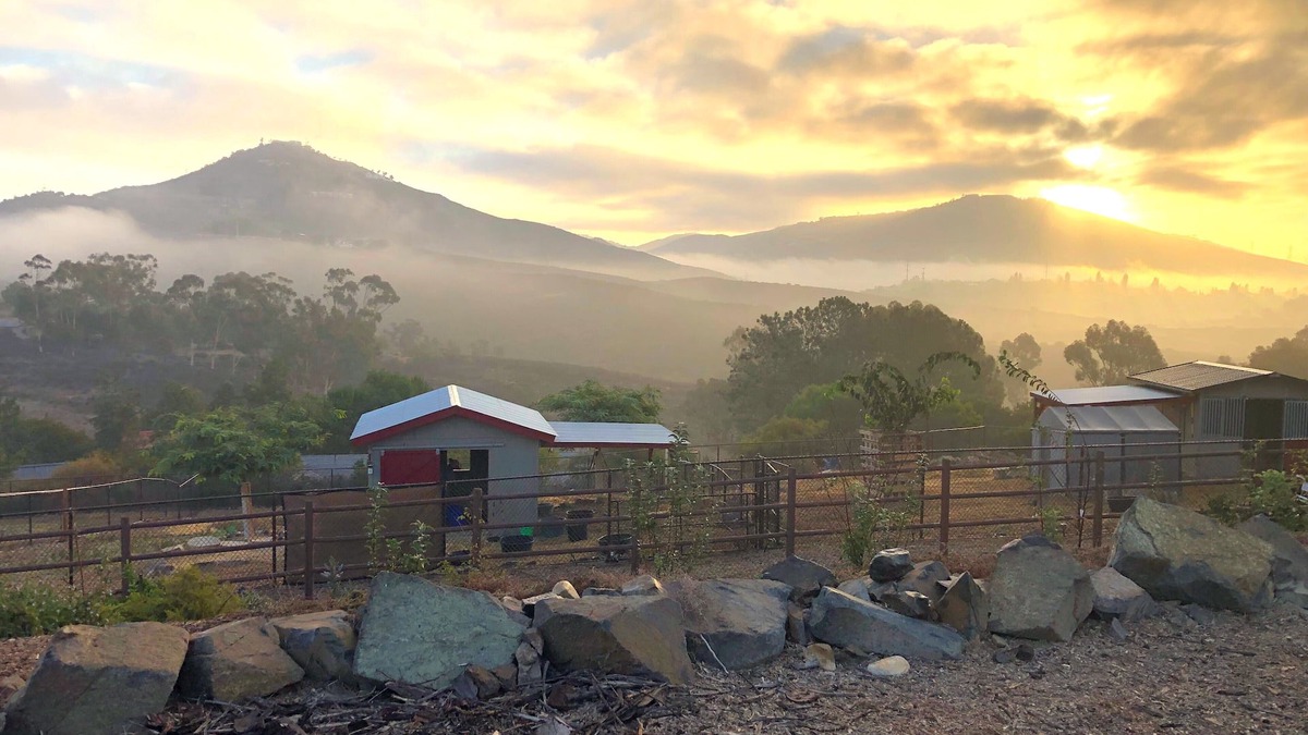 Encinitas House | Farm Sanctuary Stay 20 min to the Beach. On 2.5 acres