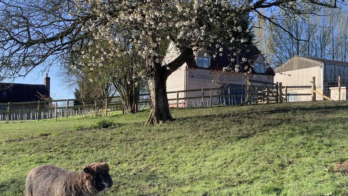Tenbury Wells Cabin | Farm stay, dark skies, stars, stunning countryside and miles of walks.