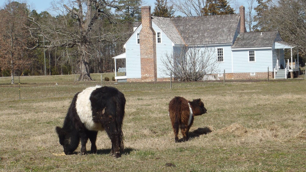 Wakefield Other | Farm-stay, Diversified Working Farm, Agrarian Setting