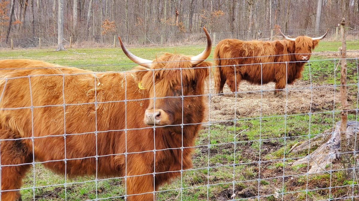 Kossuth Apartment | Farm Stay -Hideaway Haven Farm
