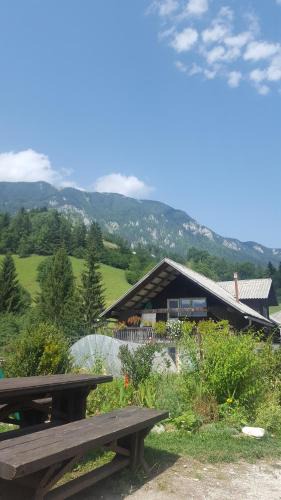 Solcava House | Farm stay Majdač