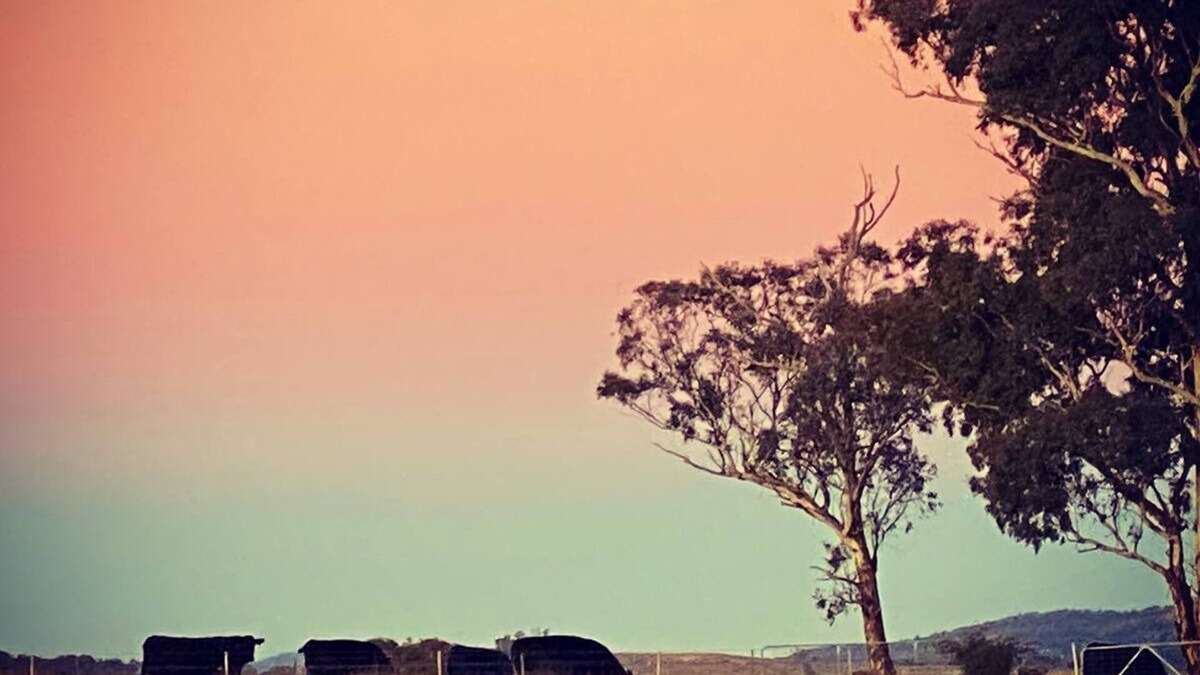 O'connell House | Farm Stay near Bathurst with a Magical View