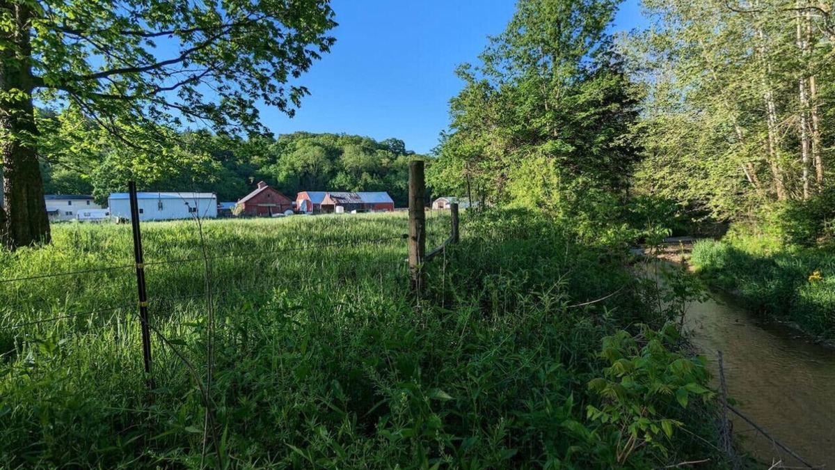 Kasbeer Apartment | Farmers Friend on 175 Acre Farm: Peaceful Retreat