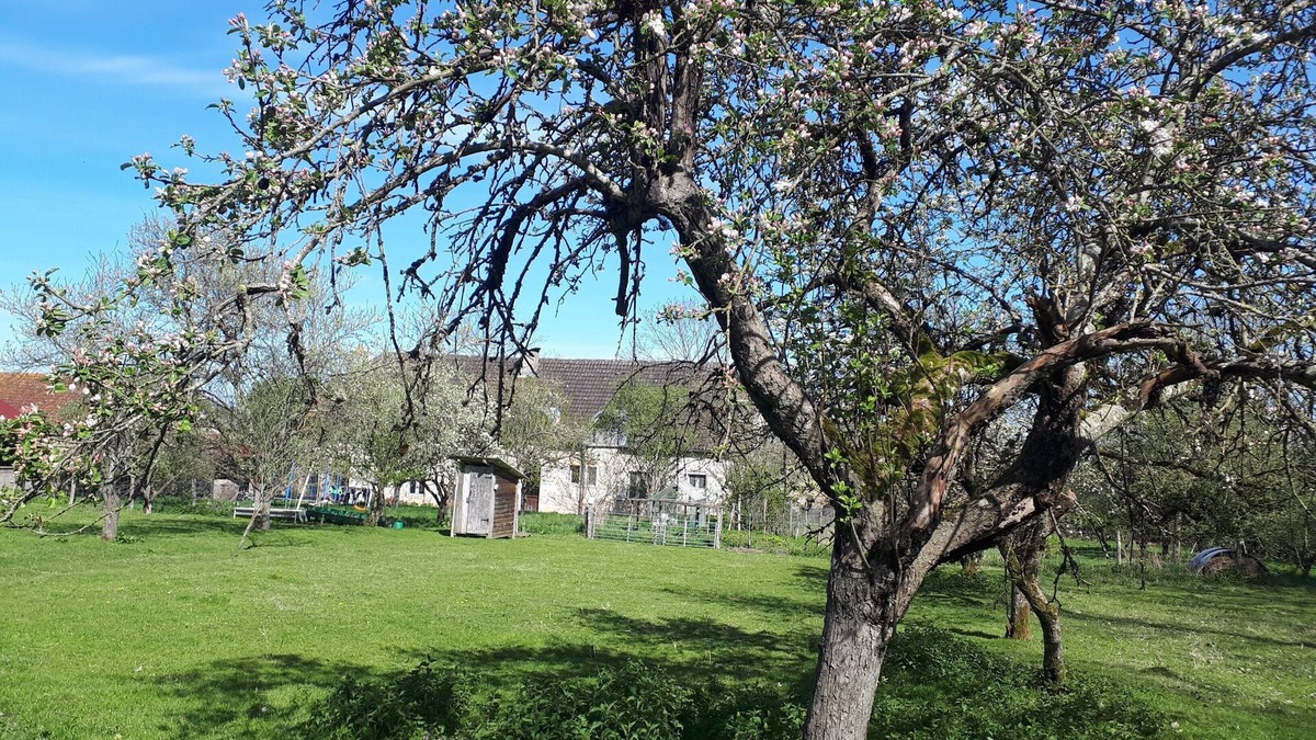 Neuville-les-Decize Other | Farmhouse, animals, nature and terroir