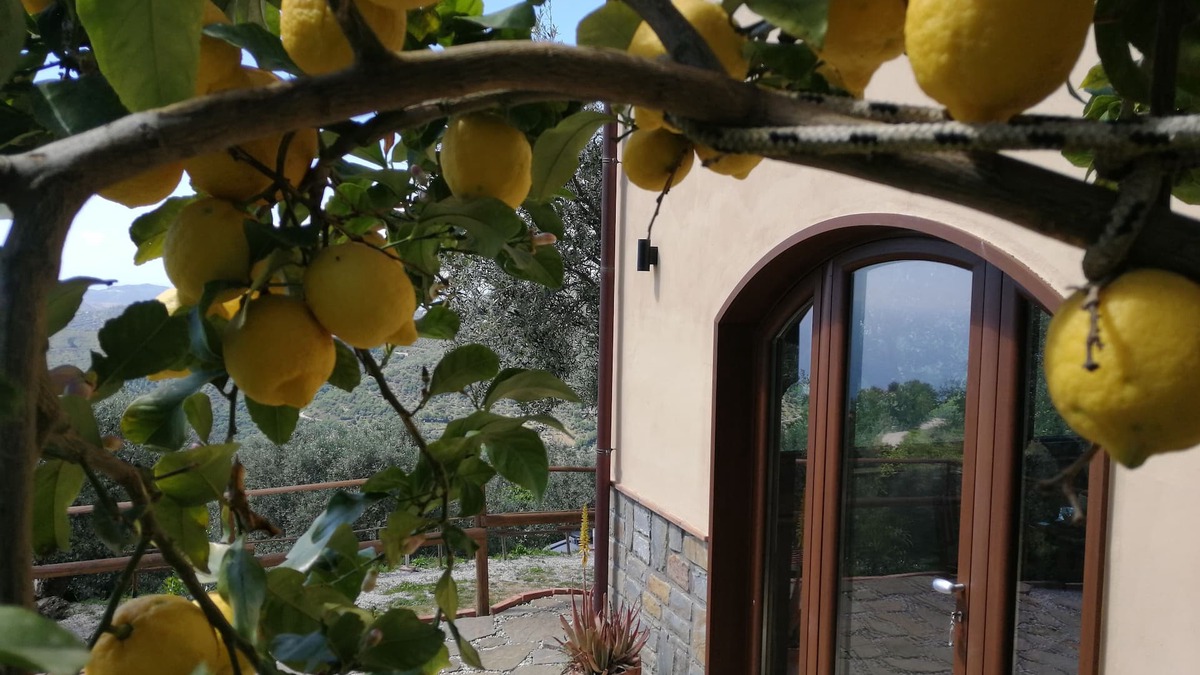 San Mauro Cilento Other | Farmhouse Agriculture Rascio